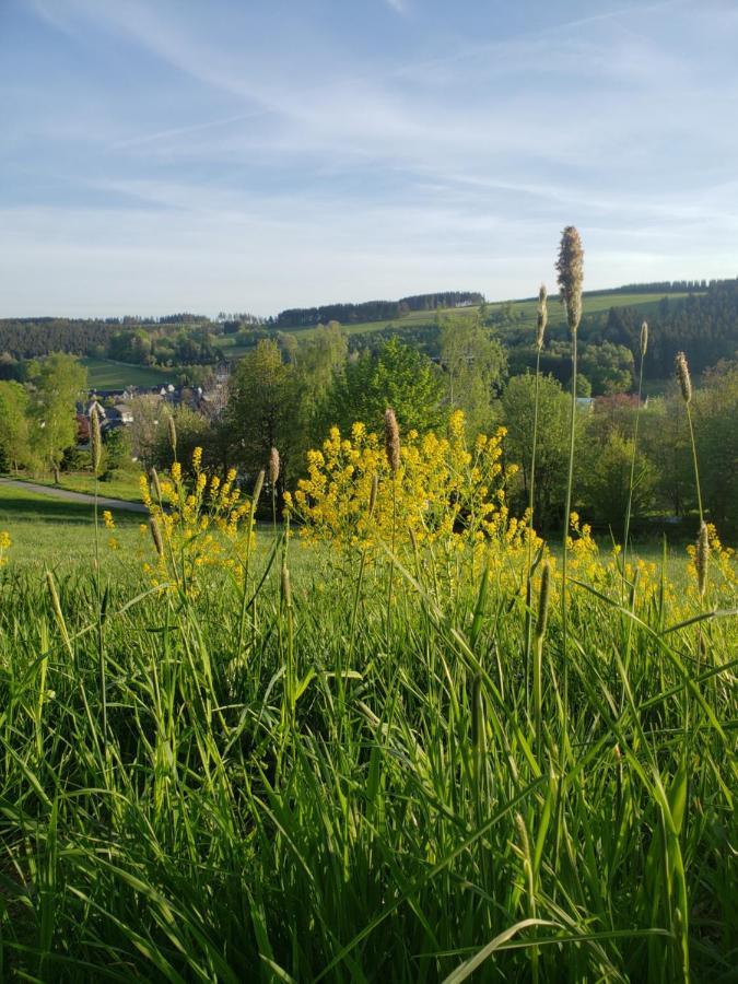 Sonnen Panorama - Abenteurer Und Weltentdecker Winterberg Eksteriør bilde